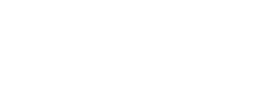 ernest-logo-white