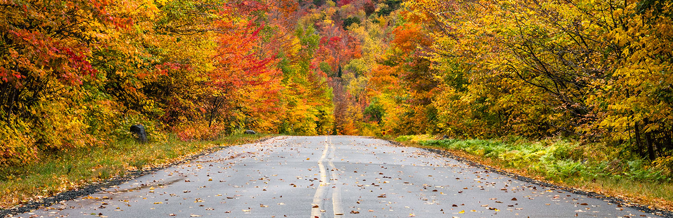 fall-road